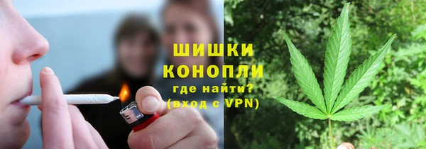 дживик Осинники