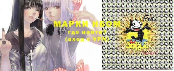 мдпв Осташков