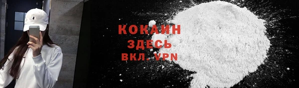 мдпв Осташков