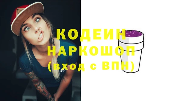 мдпв Осташков