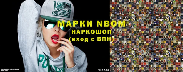 мдпв Осташков