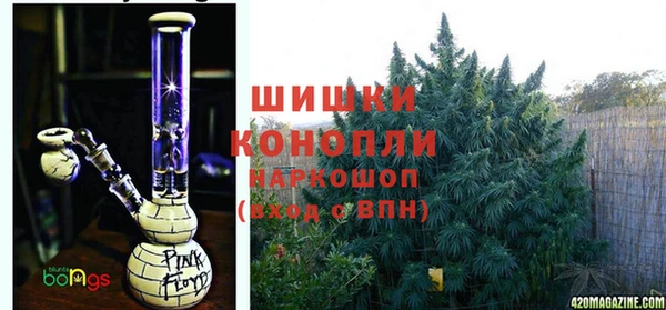 дживик Осинники