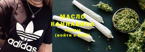 мдпв Осташков