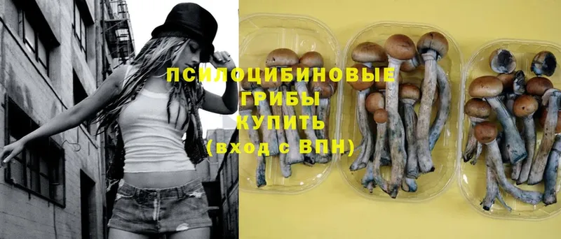 цена   Клинцы  OMG tor  Галлюциногенные грибы Magic Shrooms 